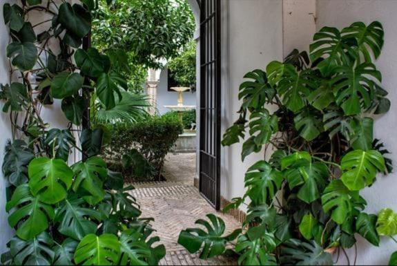 Apartamento En Un Dormitorio En Plaza Alfaro Sevilha Exterior foto